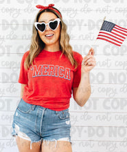 Load image into Gallery viewer, Merica Puff Print on Bella Canvas T-Shirts
